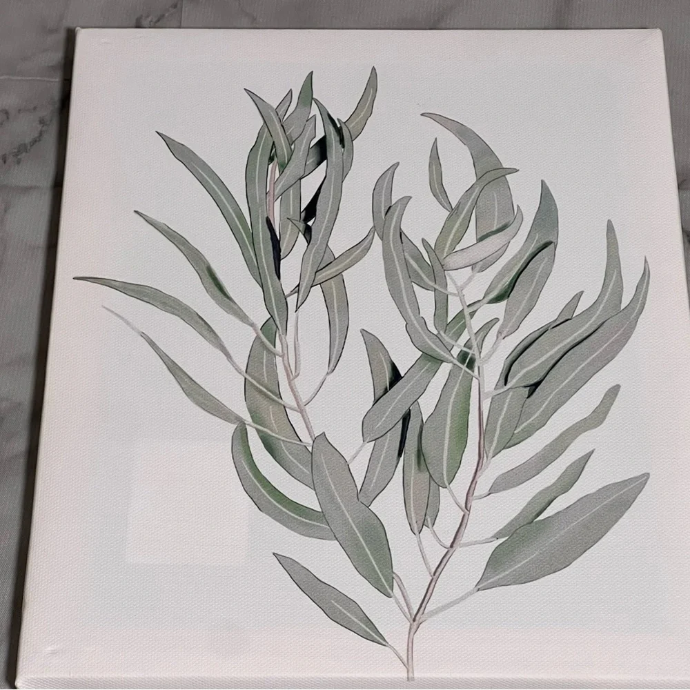 Set of 3 Botanical Art Green Farmhouse Eucalyptus Minimalist Approx 7.5”x10”